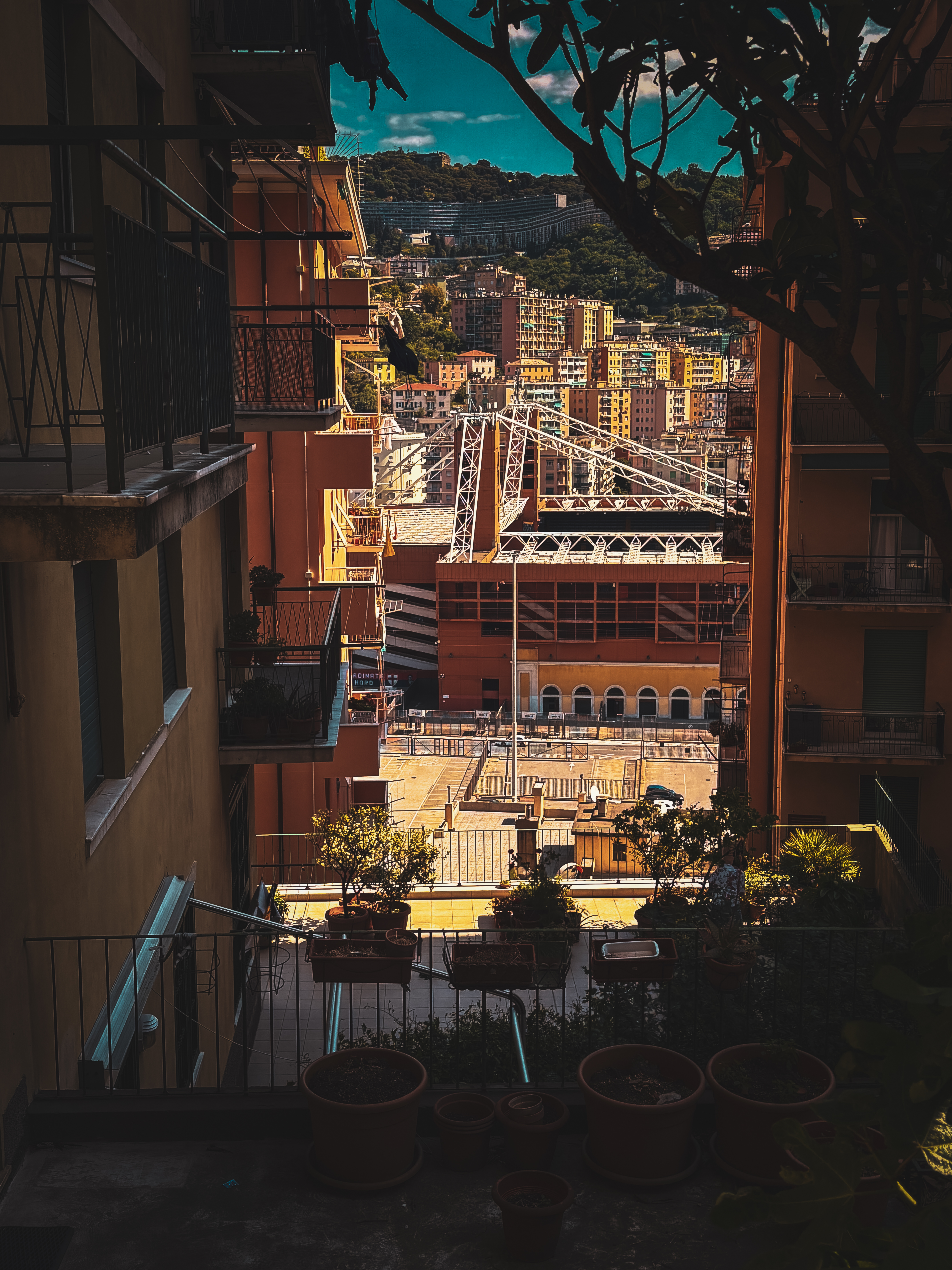 Stadio Luigi Ferraris - Marassi . Volume 2 — photo 9